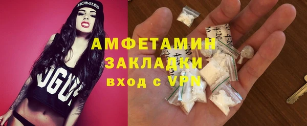 гашик Козельск