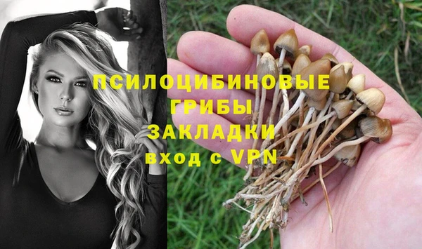 бошки Костерёво