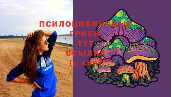 Альфа ПВП Кукмор